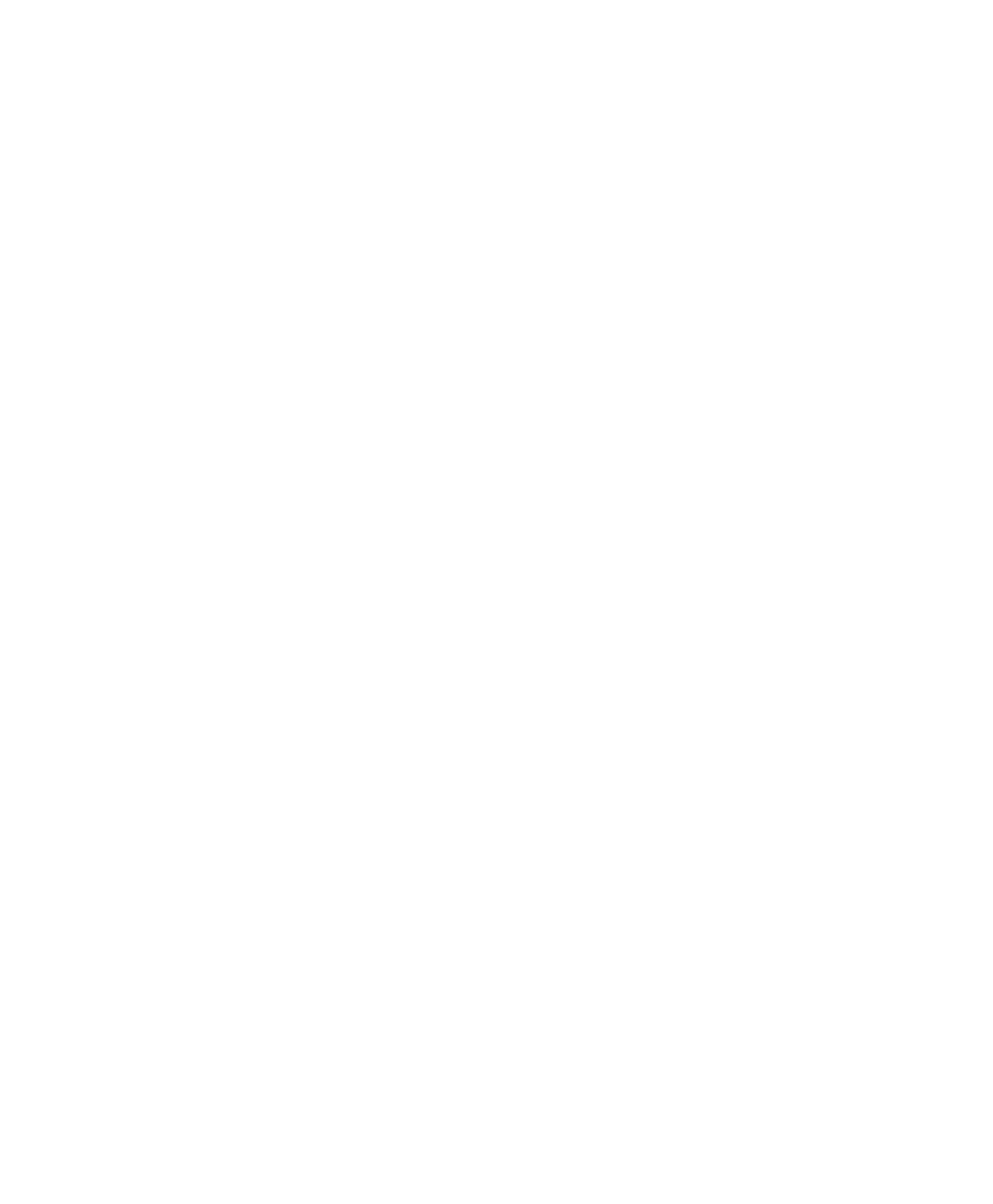 Synodality_thewell